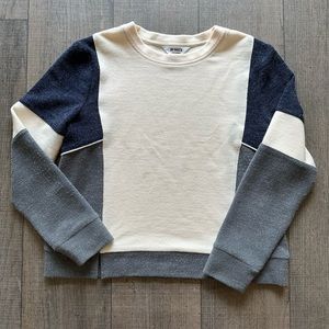 BB Dakota color block sweater